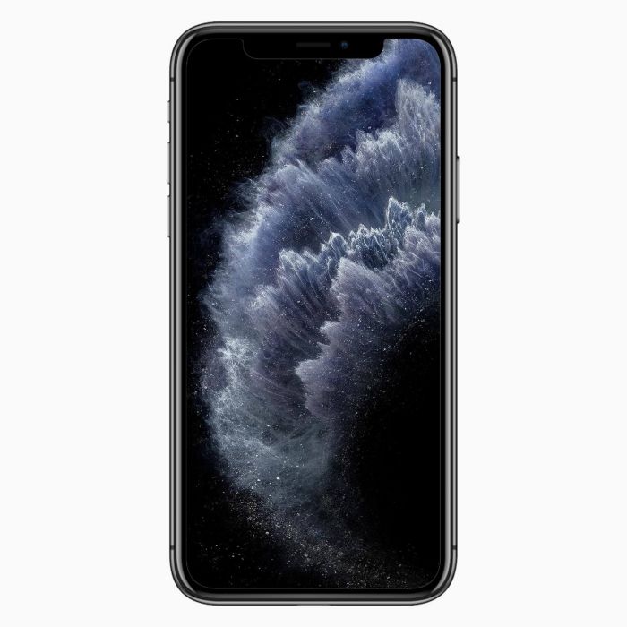 apple iphone 11 pro max 256gb in space gray