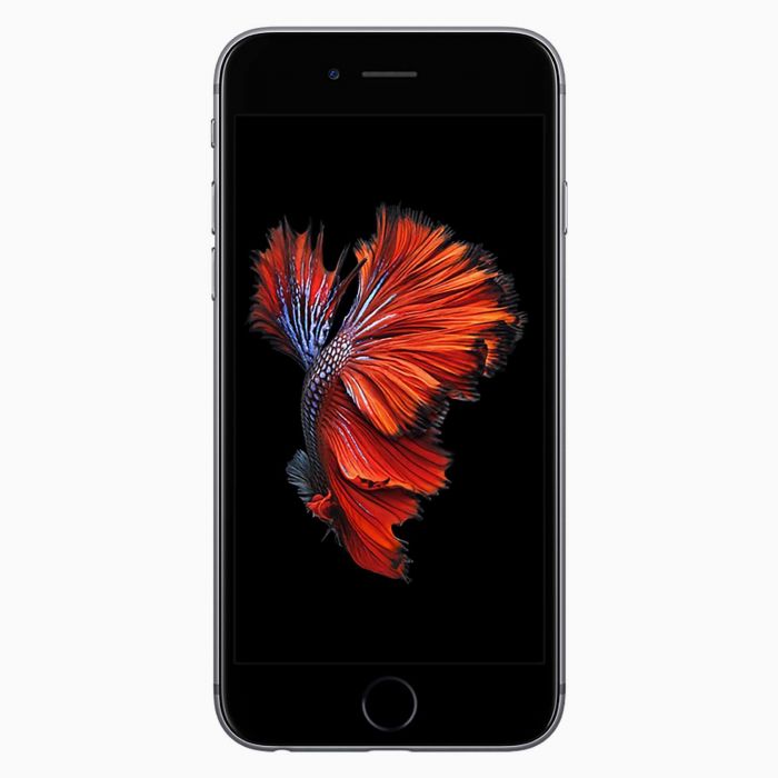 Madison Beperken Ooit iPhone 6S 32GB Space Grey | Los toestel | 2 jaar garantie!