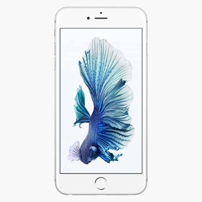 Bondgenoot terras katoen iPhone 6S 16GB Silver refurbished kopen | los toestel