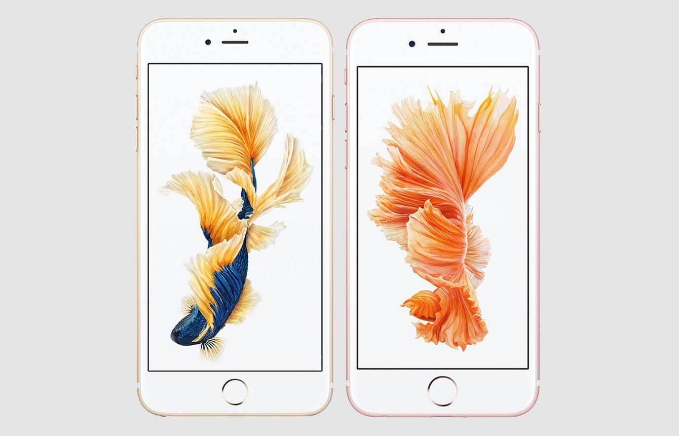 Alfabetische volgorde Viool Stuwkracht Het verschil tussen de iPhone 6 en iPhone 6S