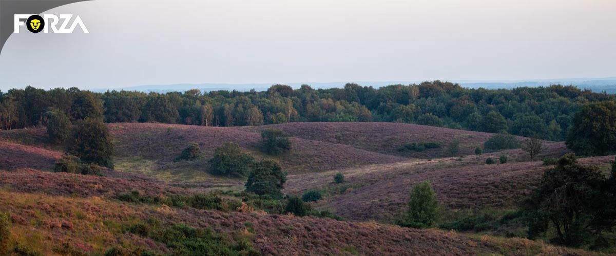 herfstvakantie tip bezoek de Veluwe